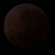 Illustration for article titled Last Nights Lunar Eclipse